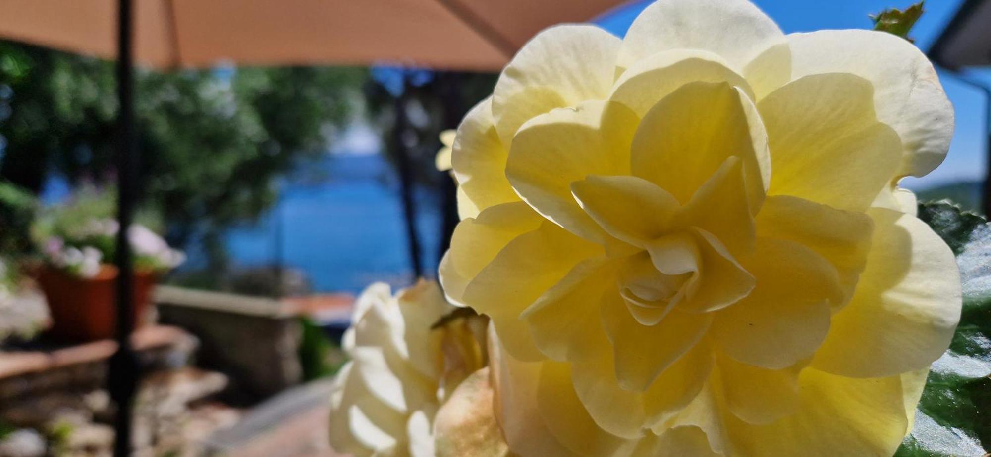 Villamara Luxury Rooms La Spezia Dış mekan fotoğraf
